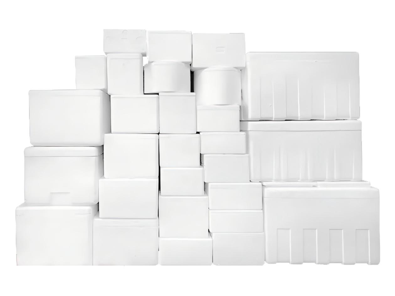 務實選擇：歐盟海鮮包裝轉型與EPS回收路徑